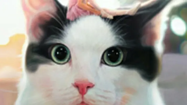 私と猫のサランヘヨ