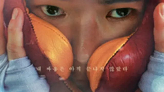 ファイター、北からの挑戦者